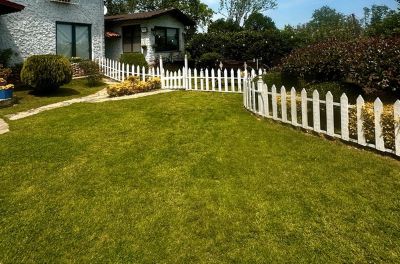 Why Is My Lawn Turning Yellow Even After Watering