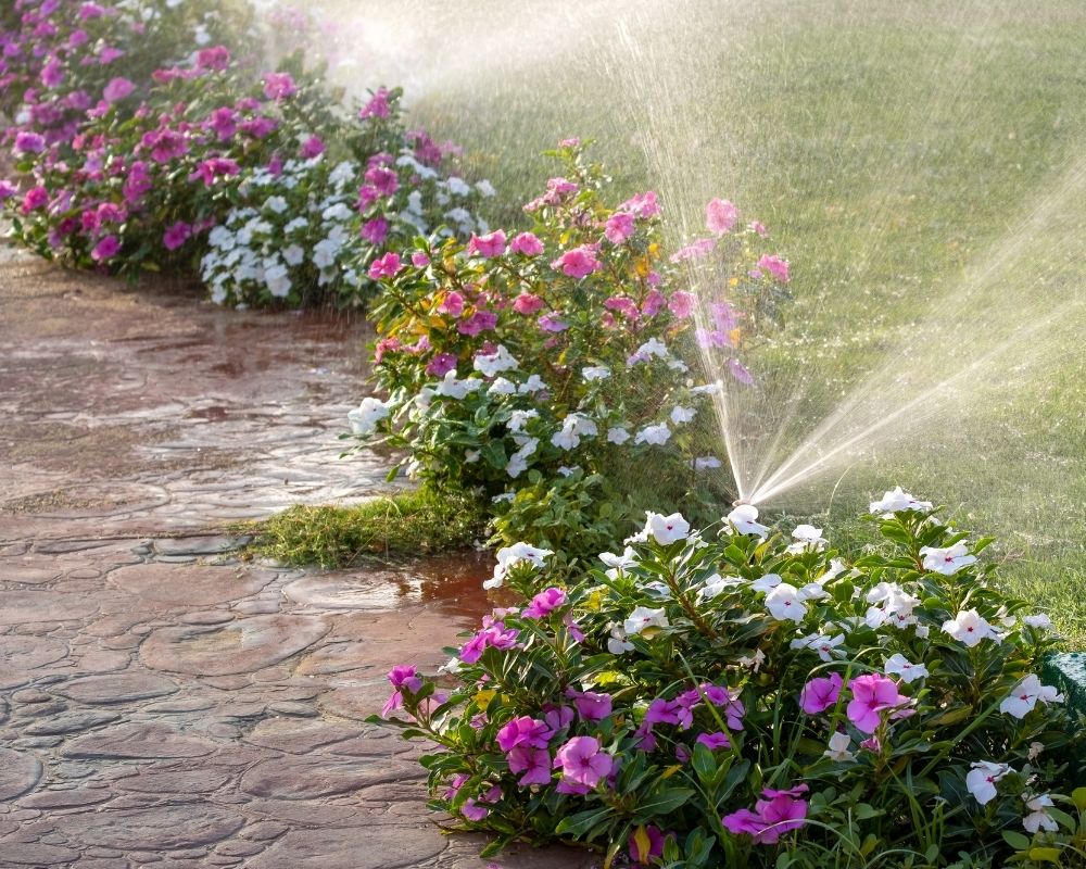 What Is a Drip Irrigation System