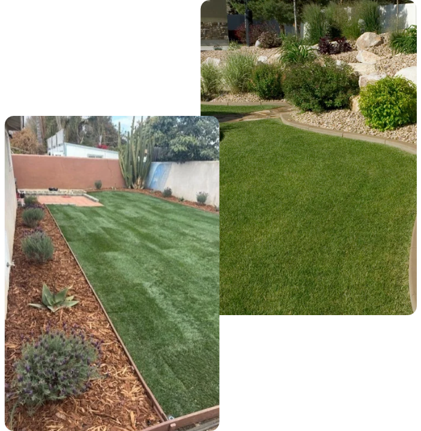 Best Landscaping Services in Ventura County