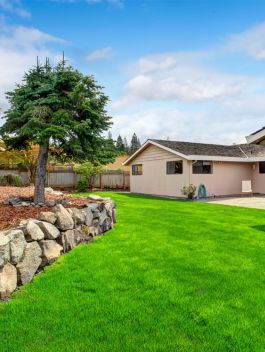 Professional Yard Cleanups & Grading for a Fresh Start (2)