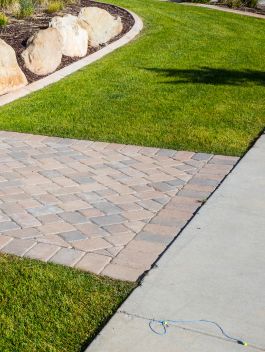 Professional Yard Cleanups & Grading for a Fresh Start